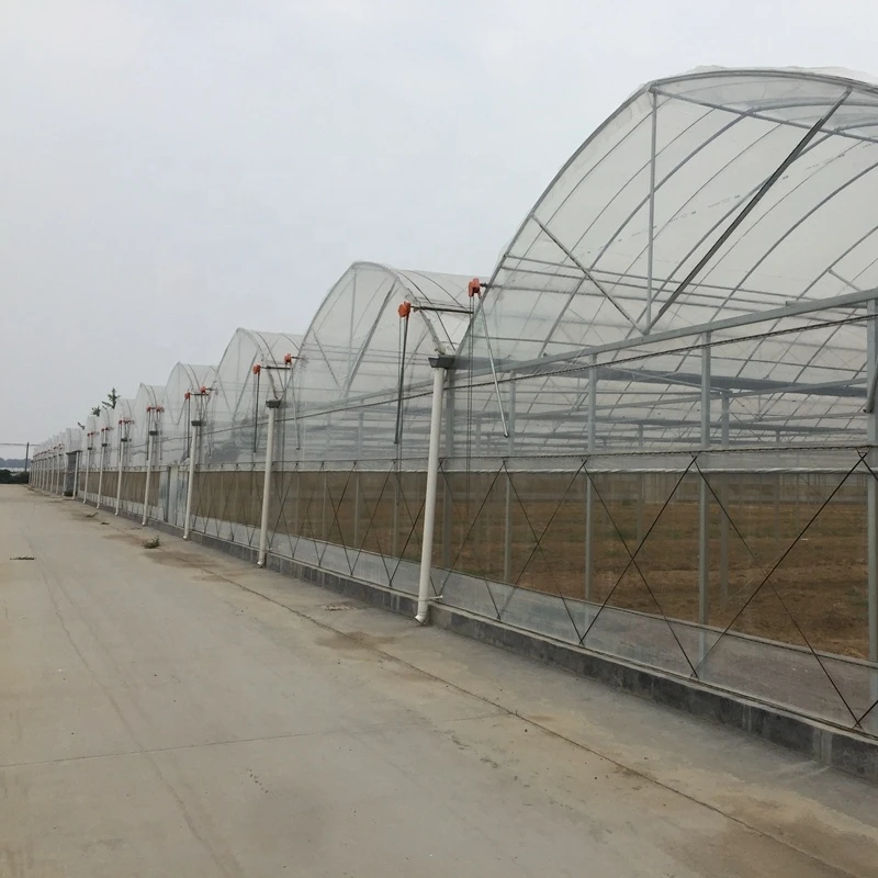 Multi span plastic film agriculture hydroponic greenhouse greenhouse invernadero
