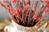 natural red bean and birch decorative branch for lobby public place