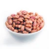 New crop sugar beans LSKB light speckled kidney bean | Rek Kidney Beans