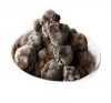 New Matured wild frozen truffle all kinds of mushroom