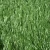 Import new premium cheap football artificial grass carpet soccer from China