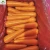 Import New season fresh vegetable red carrot with cheaper price,high quality fresh carrot for export from China