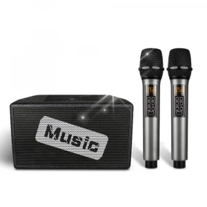 Newest Baobaomi home party karaoke effect  wireless microphone with portable active speaker