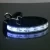 Import Novelty new dog products led pet collar retractable dog leash from China