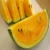 Import ORGANIC HIGH QUALITY FRESH YELLOW BABY WATERMELON - BEST PRICE FOR WHOLESALE FROM VIETNAM TYPE 3 from China
