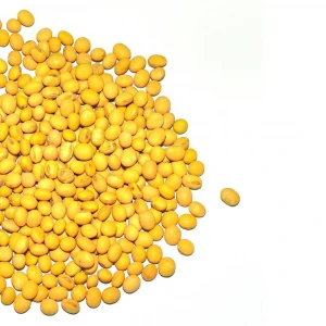 Organic Soy beans, non-GMO Soybean