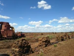 peat, tourbe, turba, turfa, turf, torf, torba, torvmose