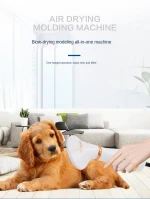 Pet Grooming brush dog hair dryer adjustable temperature 2 in 1 pet brush dryer for animal