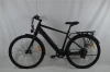 PETRIGO RetailMost Popular E-bike electric assist bike Pas 36v10ah 250w DC motor city Electric Bicycle with hidden battery