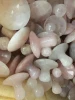 Pink crystal small jade facial massage stone | mushroom face rejuvenation anti-wrinkle massage stone