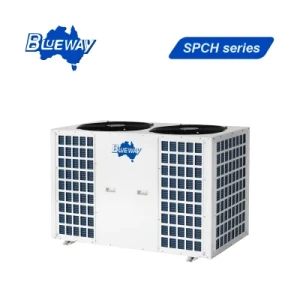 Pool Water Heating Cooling Full Inverter Heat Pump Middle East