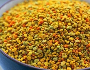 popular camellia bee pollen tablets for industrial use for sale