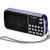 Import Portable L- 088 radio within  MP3  player ,  Hi-Fi ,  FM Radio,  Loudspeaker with Flashlight USB AUX TF Slot from China