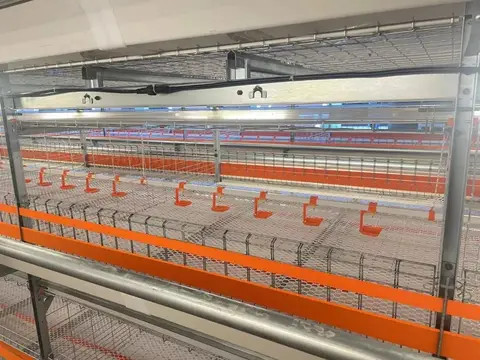 Poultry Stacker Buy Poultry Helper Poultry Cages For Layer Chickens For 10000 Birds ...