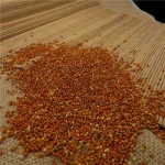 Premium High Quality Ragi Finger Millet Available at Bulk Price