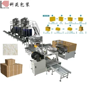 Primary Packaging and Secondary Packaging Filling Machine Line for Carton, Case Packer, Rice/Salt. Sugar Bag Packing Machine in Carton