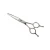 Import Professional barber stainless hairdressing hair scissor from Taiwan
