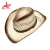 Import Promoiotn party gift custom ribbon decorate straw cowboy hat with print logo from China