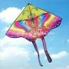 Promotional new designs custom shape cheap kite