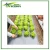Import Promotional Products Garden Weed Block Fabric PP Woven Fabric Roll Garden Mesh For Weeds from China