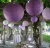 Import Purple Round Paper Lanterns,Metal Framed Hanging Lanterns Birthday Wedding Party Supplies Favors Hanging Decoration from China