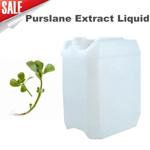 Purslane Extract Liquid for anti-inlammatory and anti-allergic plant extract