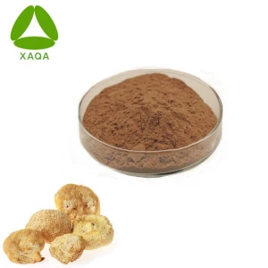 QA Factory Supply Lion&#x27;s Mane Mushroom Extract10%-50% Polysaccharide