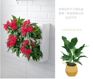 Self Watering Plant Pot Creative indoor home decoration Automatic Water Absorbing Flower plants Pot Planter