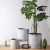 Import Simplism european style matte modern indoor outdoor cement  large planters / garden decoration concrete flower pots from China