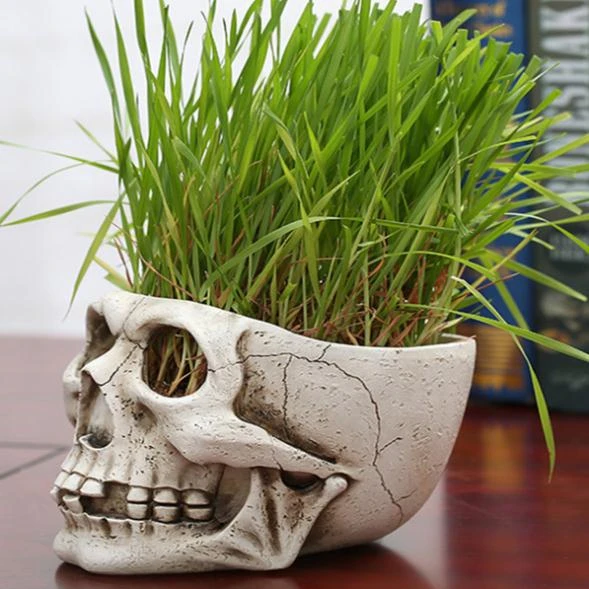 skull flowerpot resin skull decoration model skull flower pot