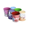 Small Metal Buckets with Handles Kids Gift Galvanized Baskets Popcorn French Fries Package Colorful Tin Planters Flower Mini Pot
