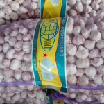 small size garlic from china