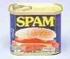 Spam Hormel Canned Meat 340g