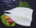 squid tube wholesale frozen seafood