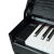 Import ST-802  The Best And Cheapest Standard 88 Keys Electronic Digital Piano From Chinese Supplier from China
