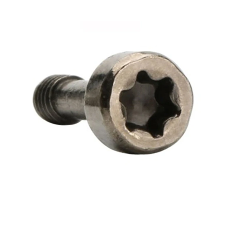 Stainless steel 304 torx head screw in dongguan