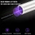 Import Stainless Steel Mini Pocket Lamp Led UV Flashlight Torch Ultra Violet Light Usb Rechargeable for Marker Checker Detection from China