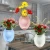 Import Sticky Flower Pots Wholesale Refrigerator Self Watering Flevitating Flower Pot from China