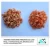 Import Sun Dried shrimp from China