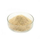 Supply Natural Broad Bean Extract Broad Bean Protein/Fava Bean Protein 60%