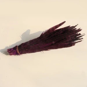 Synthetic feathers pheasant feathers with factory price