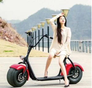 the Economist electric bike handicap three wheel scooter