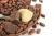 Import Top Quality Raw Natural Cocoa Butter Factory price from South Africa