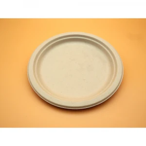 Top Seller Classic Bagasse Fibre White Single-Use Plate 9 For Restaurant