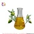 Import Transparent Edible Natural Jojoba Oil from China