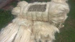 UG Grade Sisal Fibre of Kenyan Origin