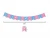 Import Umiss Paper fans, BOY OR GIRL Banner,Mummy to Be Sash, gender reveal foil latex balloons  baby shower party decoration supply from China