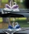 Import unique couple crystal glass swans Model Handmade desk ornament decoration wedding gifts souvenir in crystal crafts from China