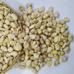 Graines De Moringa Oleifera - Lot De 25 Graines Fraîches - Arbre à Croissance Rapide, Guide De Culture Inclus