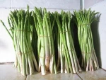 VIETNAM FRESH ASPARAGUS